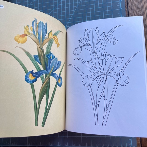 The Beauties of Nature Coloring Book: Flowers, Birds, Butterflies, & Wildlife - Picture 6 of 12